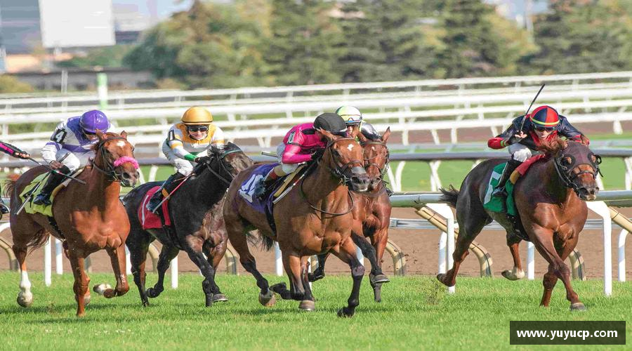 熊猫体育最新网址跃动青春，激情体育